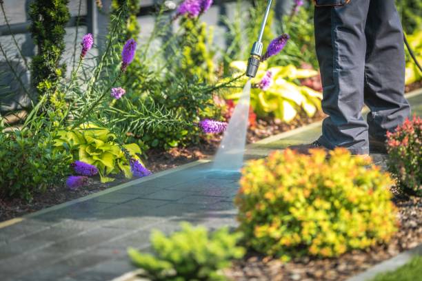 Best Winterizing Services  in Oneida, NY